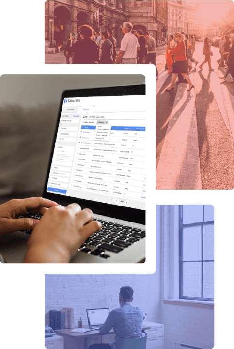SalesIntel