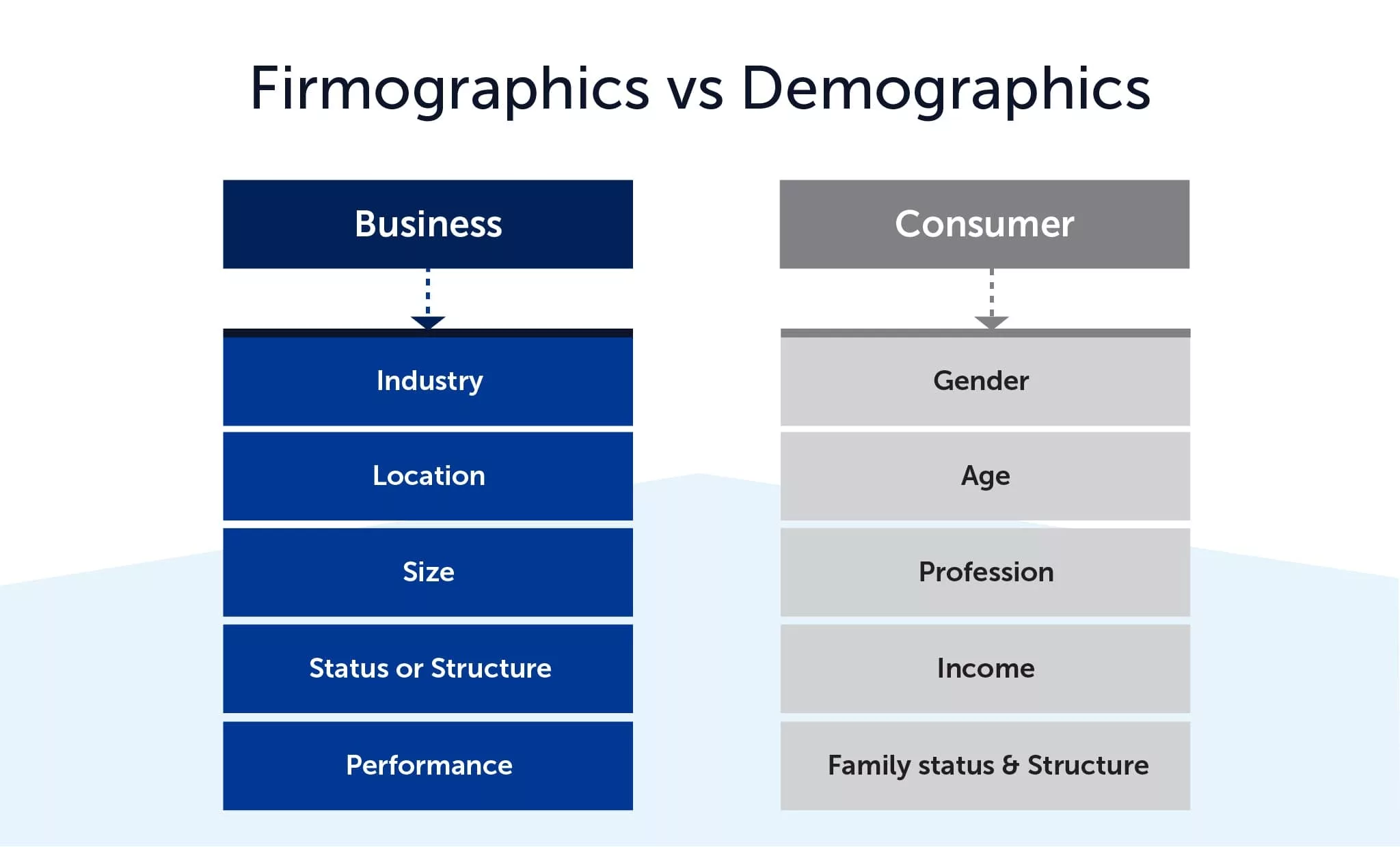 Firmographics Vs Demographics